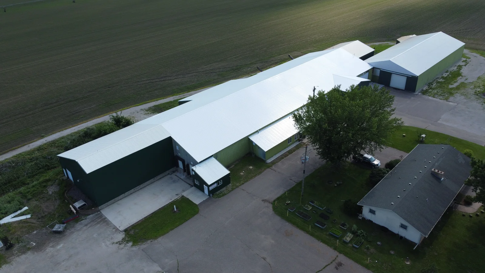 The main metal building flanked by smaller farm outbuildings