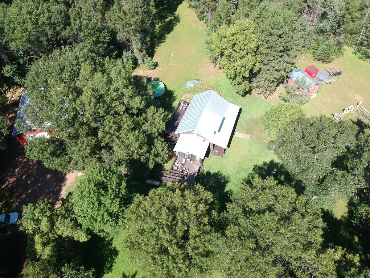 The silver metal roof seen amid dense summer foliage on the property.