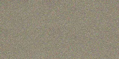 Champagne Metallic standing seam metal roof color